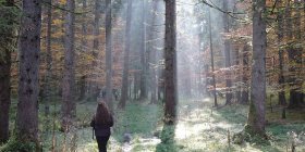 Cansiglio InVita, quattro giorni in foresta per riconnettersi con la Natura