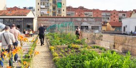 #56 – OrtiAlti: come l’agricoltura urbana può trasformare tetti delle nostre città