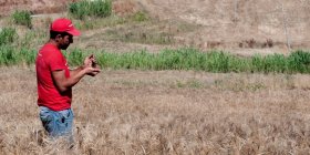 Valdibella: il “chilometro etico” per combattere l’agricoltura industriale