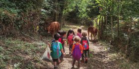 Bambini felici e consapevoli nel bosco di Camaro con Educare nel bosco Messina